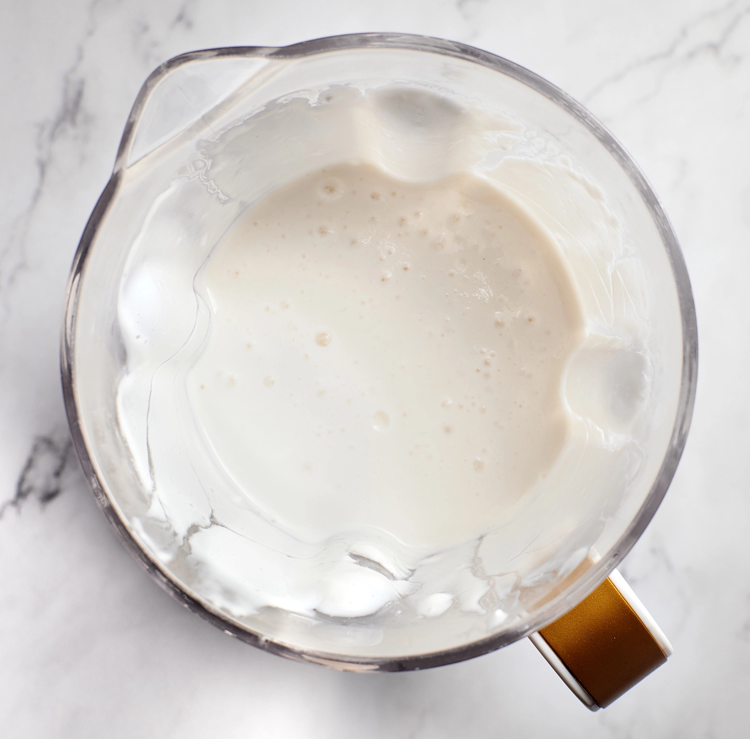 Greek yogurt, cottage cheese, and chicken broth blended until smooth.