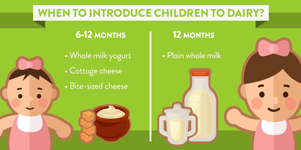 Infographic of "When To Introduce Children To Dairy", which shows what dairy foods to introduce to children ages 6-12 months and over 12 months.