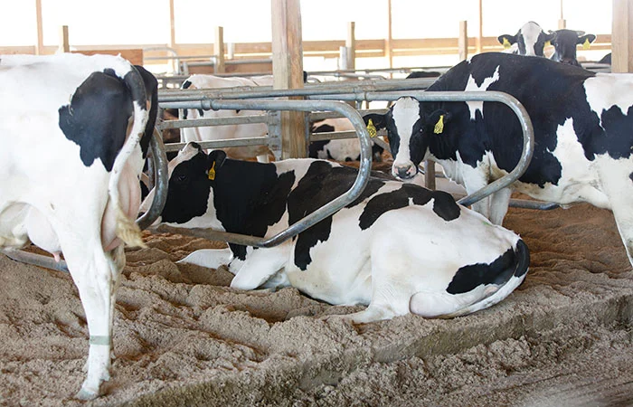 081619_Abbey-Copenhaver_chill_700x450